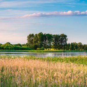 Nieuwbouwwijk in Roermonds natuurgebied van de baan