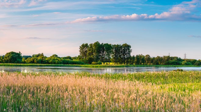 Nieuwbouwwijk in Roermonds natuurgebied van de baan