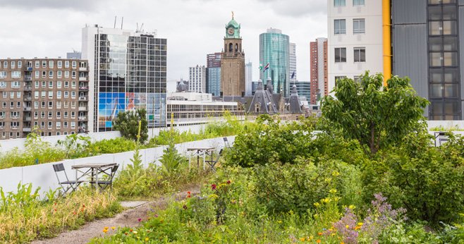 Bouwers staan voor een uitdaging Hoe houden we de natuur in de stad