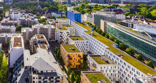 Nationaal Daken Plan pleit voor meer groene daken op Nederlandse huizen en gebouwen