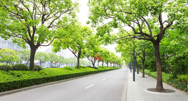 Meer groen in de omgeving kan zorgen voor minder stress in coronatijd