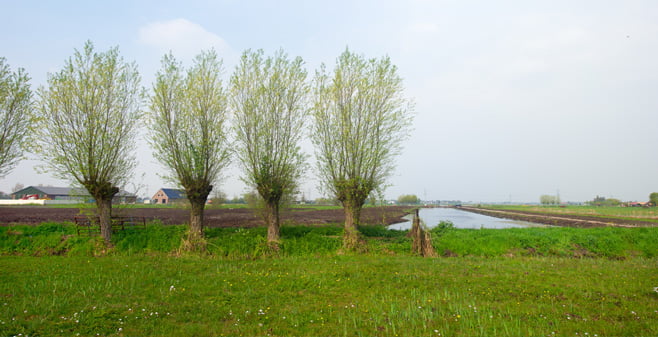 Onteigening dreigt voor boeren in de Krimpenerwaard voor enorm natuurgebied