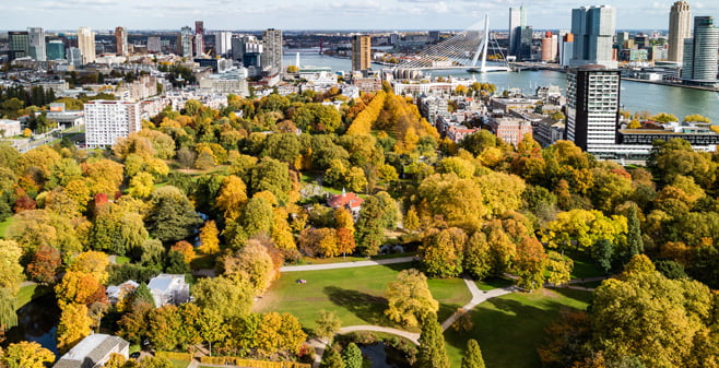 Er komt meer ruimte voor groen in de nimmer aflatende bouwambities van Rotterdam