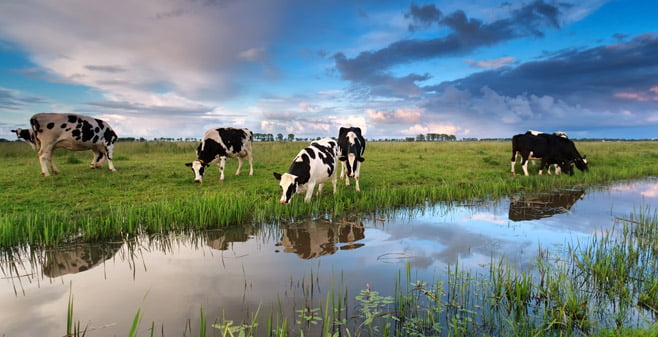 Grondgebruik en ruimte voor woningbouw in Nederland
