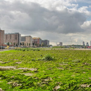 Er moet iets veranderen met de markt voor bouwgrond in Nederland