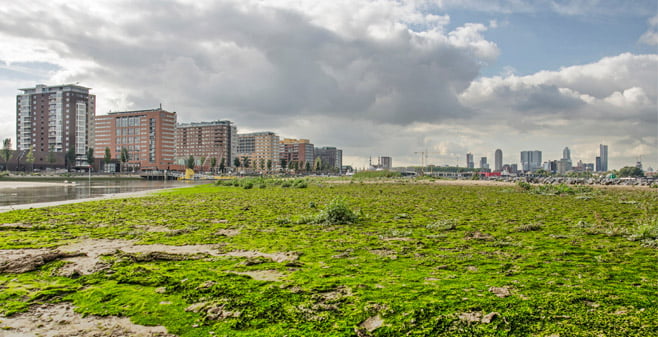 Er moet iets veranderen met de markt voor bouwgrond in Nederland