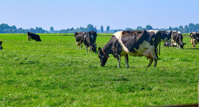 De Rijksbegroting voor 2023 zet in op woningbouw en verduurzaming, maar het stikstofprobleem blijft