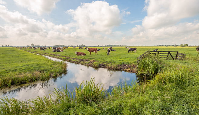 De gemeente Alphen ad Rijn mag bouwen in de Gnephoek