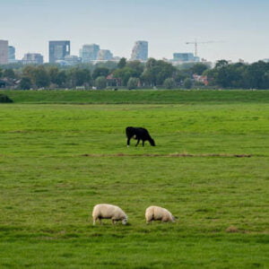 Nederland heeft 900000 woningen nodig Waar gaan we bouwen