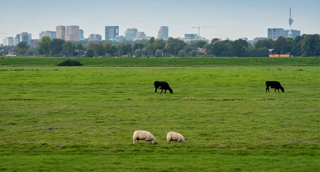 Nederland heeft 900000 woningen nodig Waar gaan we bouwen